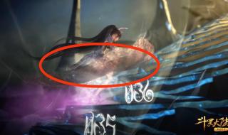 小舞生了多少个孩子